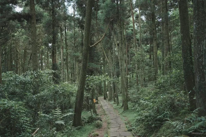 松月湖步道 示意圖